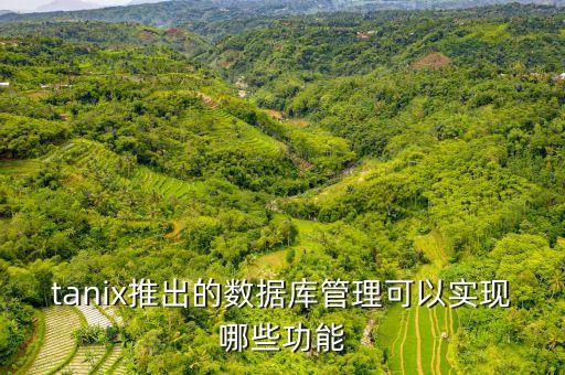 tanix推出的數(shù)據(jù)庫(kù)管理可以實(shí)現(xiàn)哪些功能