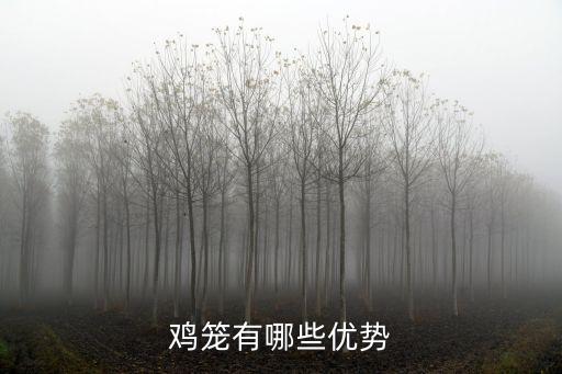 雞籠有哪些優(yōu)勢