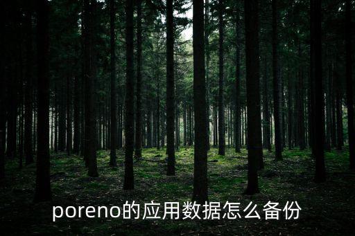 poreno的應(yīng)用數(shù)據(jù)怎么備份