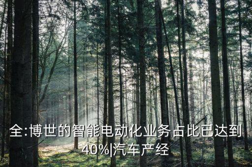 全:博世的智能電動(dòng)化業(yè)務(wù)占比已達(dá)到40%|汽車(chē)產(chǎn)經(jīng)