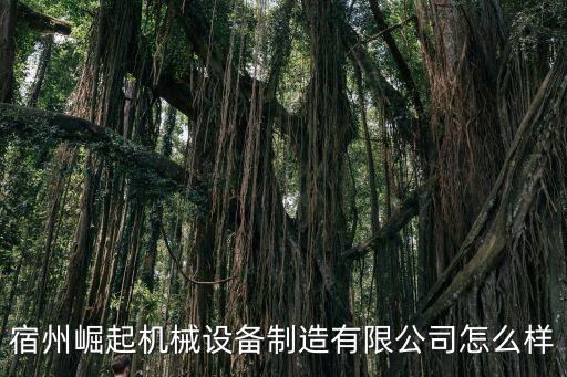 宿州崛起機械設(shè)備制造有限公司怎么樣