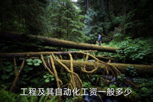 工程及其自動(dòng)化工資一般多少