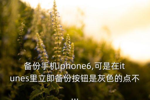 備份手機iphone6,可是在itunes里立即備份按鈕是灰色的點不...