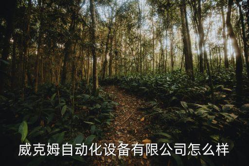 威克姆自動(dòng)化設(shè)備公司,Wemx科技(深圳)有限公司