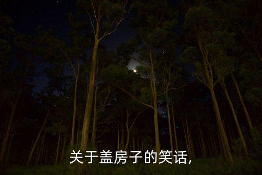 關于蓋房子的笑話,