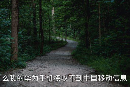 華為因數(shù)據(jù)丟失 中國移動,中國移動華為手機上不了網(wǎng)