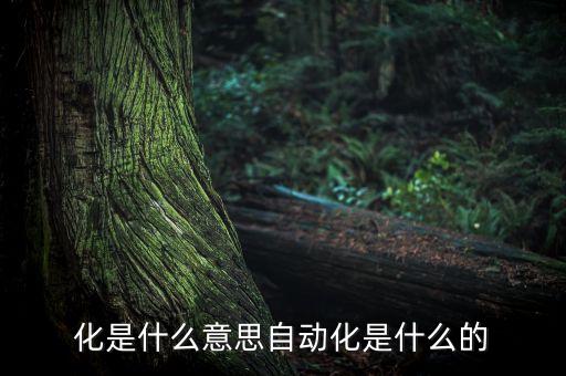 化是什么意思自動化是什么的