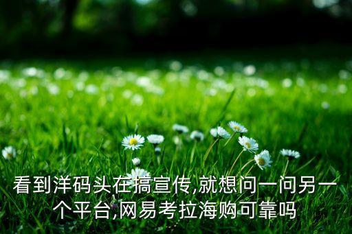 網(wǎng)易考拉大數(shù)據(jù)團(tuán)隊(duì),網(wǎng)易考拉海購(gòu)可靠嗎?