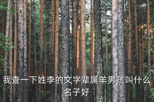 李文棟,那個(gè)男孩叫什么名字李?