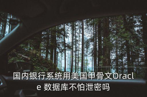 國(guó)內(nèi)銀行系統(tǒng)用美國(guó)甲骨文Oracle 數(shù)據(jù)庫(kù)不怕泄密嗎