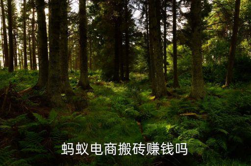 螞蟻電商搬磚賺錢嗎