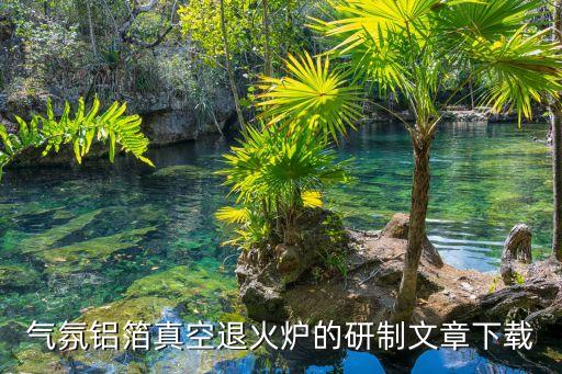 氣氛鋁箔真空退火爐的研制文章下載