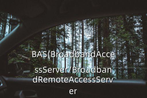 BAS(BroadbandAccessServer/BroadbandRemoteAccessServer