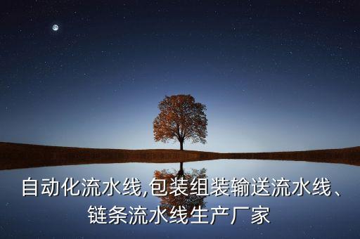 自動化流水線,包裝組裝輸送流水線、鏈條流水線生產廠家