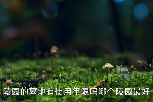 河南洛陽公墓機(jī)器人,洛陽機(jī)器人公司