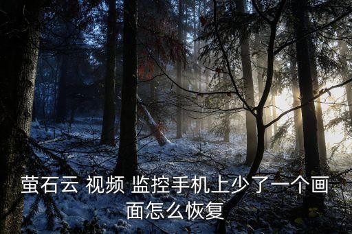 螢石云 視頻 監(jiān)控手機上少了一個畫面怎么恢復(fù)