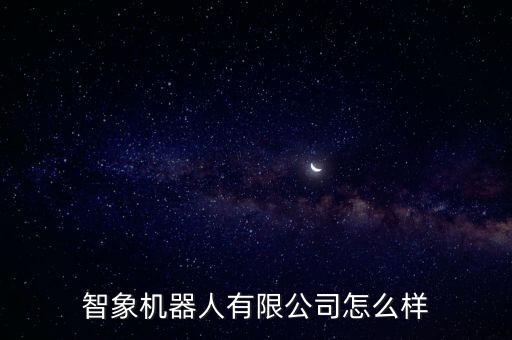 智象機器人有限公司怎么樣