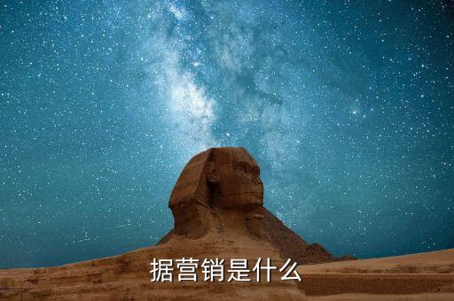 據(jù)營(yíng)銷是什么