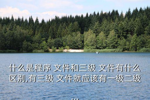 什么是程序 文件和三級(jí) 文件有什么區(qū)別,有三級(jí) 文件就應(yīng)該有一級(jí)二級(jí)...
