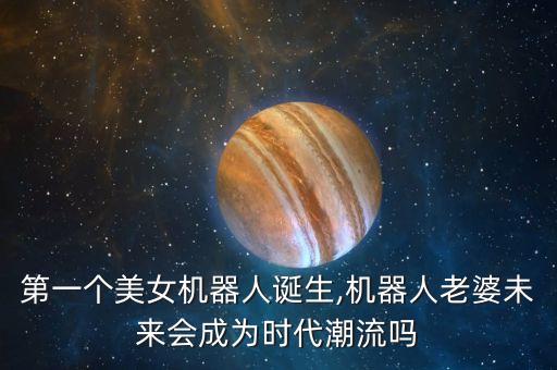 玩機器人美女圖片,機器人老婆美圖