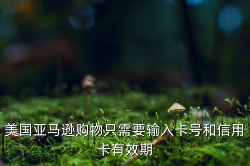 美國(guó)亞馬遜購(gòu)物只需要輸入卡號(hào)和信用卡有效期