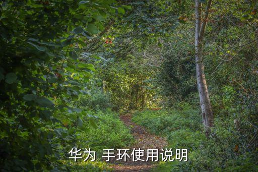 運(yùn)動(dòng)手環(huán)數(shù)據(jù)怎么看,華為運(yùn)動(dòng)手環(huán)怎么看消耗卡路里