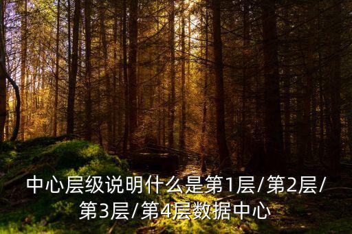 中心層級(jí)說(shuō)明什么是第1層/第2層/第3層/第4層數(shù)據(jù)中心