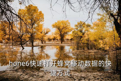 快捷蜂窩移動數(shù)據(jù),切換蜂窩移動數(shù)據(jù)的快捷說明