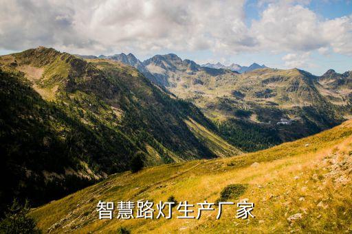 智慧路燈生產(chǎn)廠家
