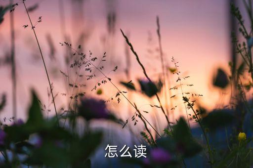 怎么讀