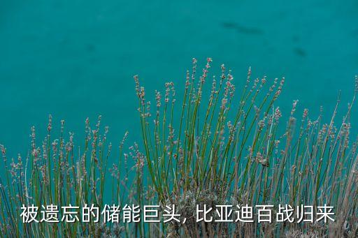 被遺忘的儲(chǔ)能巨頭, 比亞迪百戰(zhàn)歸來