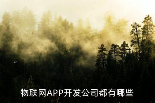物聯(lián)網(wǎng)企業(yè),物聯(lián)網(wǎng)意味著什么?