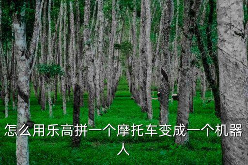 積木拼裝機(jī)器人,樂(lè)高小型機(jī)器人積木與傳統(tǒng)積木之別