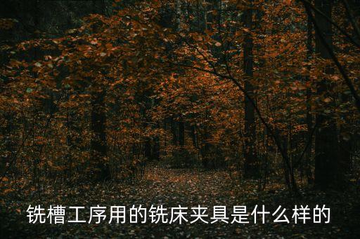 銑槽自動化設(shè)備視頻,沖壓自動化設(shè)備視頻大全