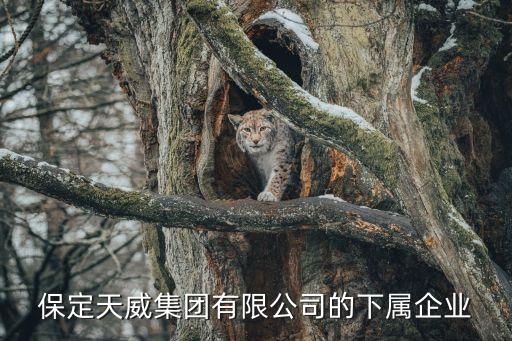 保定天威集團有限公司的下屬企業(yè)