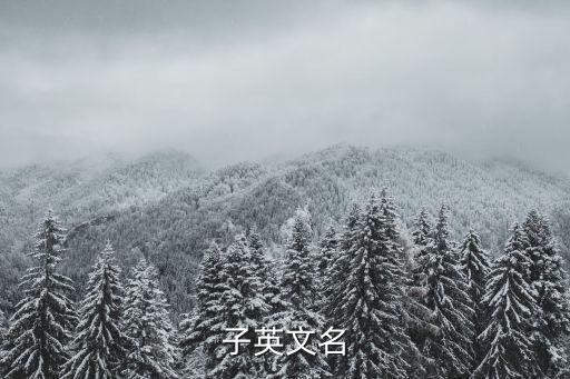 自動(dòng)化公司英文名稱,公司英文名稱命名