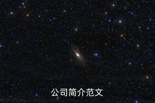 公司簡(jiǎn)介范文