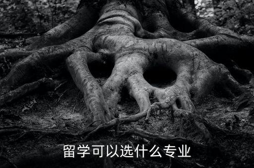 留學(xué)可以選什么專業(yè)