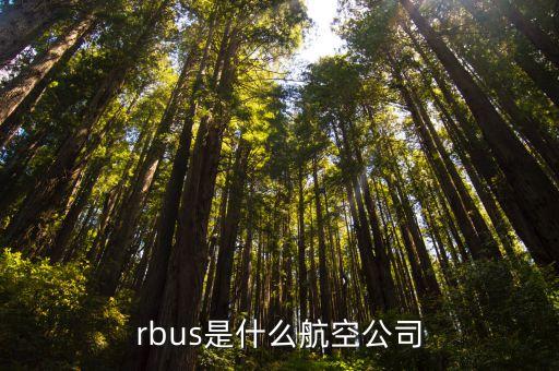 airbus,空客是什么意思?