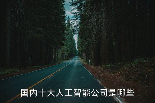 國(guó)內(nèi)十大人工智能公司是哪些