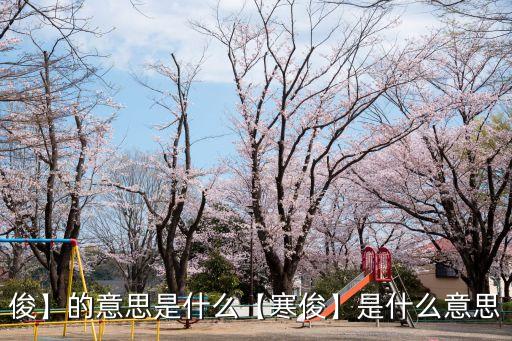 俊】的意思是什么【寒俊】是什么意思