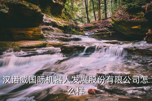 創(chuàng)客 深圳 機器人,深圳人形機器人國創(chuàng)