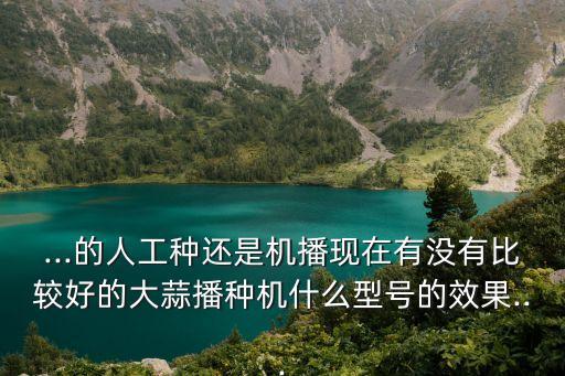 ...的人工種還是機播現(xiàn)在有沒有比較好的大蒜播種機什么型號的效果...