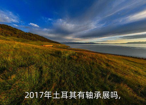 2017年土耳其有軸承展嗎,