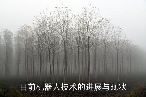 目前機(jī)器人技術(shù)的進(jìn)展與現(xiàn)狀