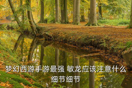 夢幻西游手游最強 敏龍應該注意什么細節(jié)細節(jié)