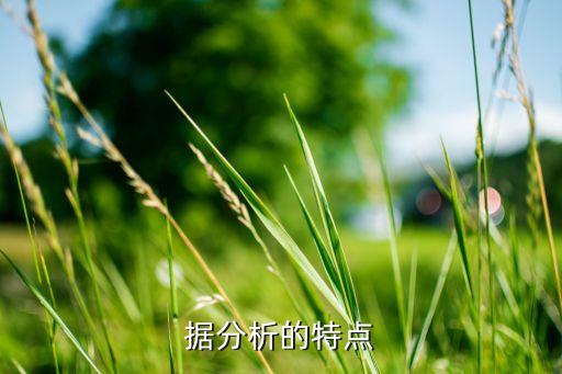 據(jù)分析的特點(diǎn)