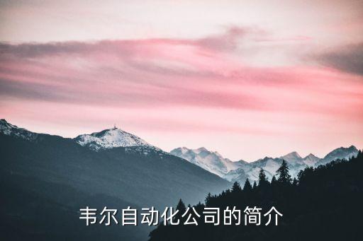 羅克韋爾自動化公司穩(wěn)定嗎,美國羅克韋爾自動化公司