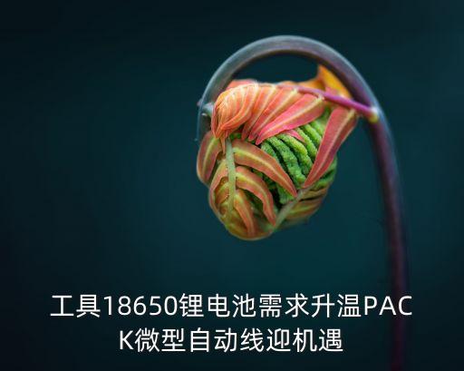 工具18650鋰電池需求升溫PACK微型自動(dòng)線迎機(jī)遇