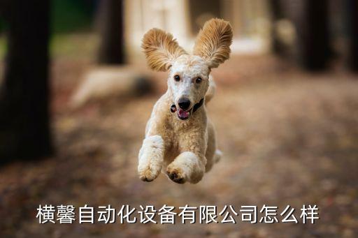 上海自動(dòng)化設(shè)備制作企業(yè),自動(dòng)化設(shè)備上市企業(yè)